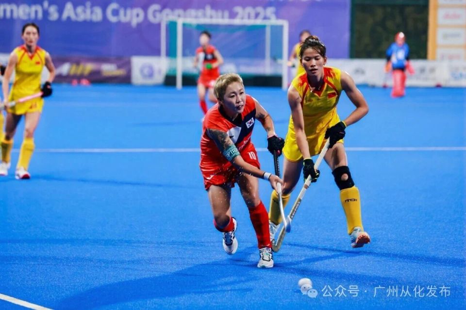 年起, 专业运动员 年起, 专业运动员