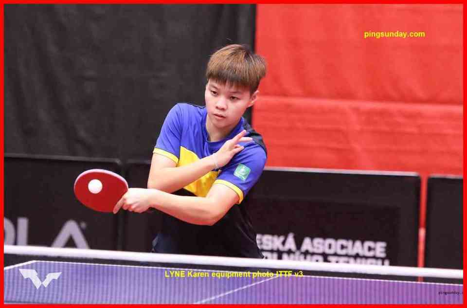 马来西亚, 林和郑爱新 马来西亚, 林和郑爱新